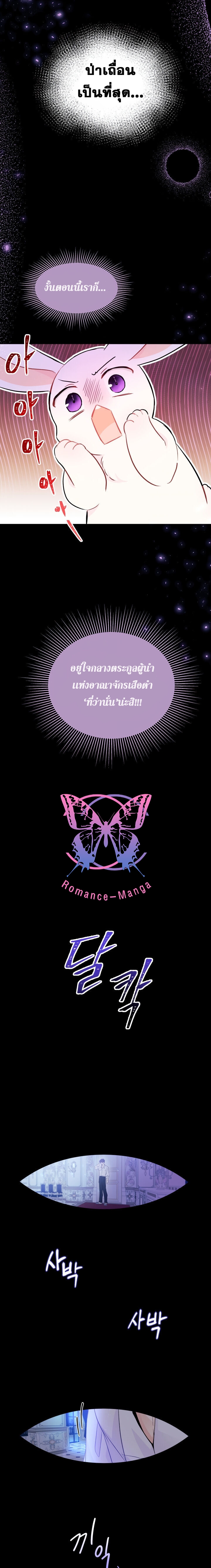 The Symbiotic Relationship Between a Panther and a Rabbit15 (12)